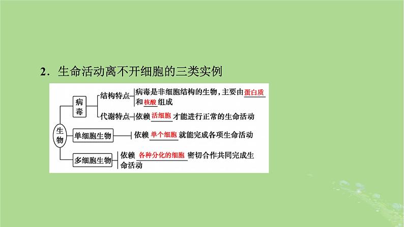 2025版高考生物一轮总复习必修1第1单元走近细胞和组成细胞的分子第1讲走近细胞课件第6页