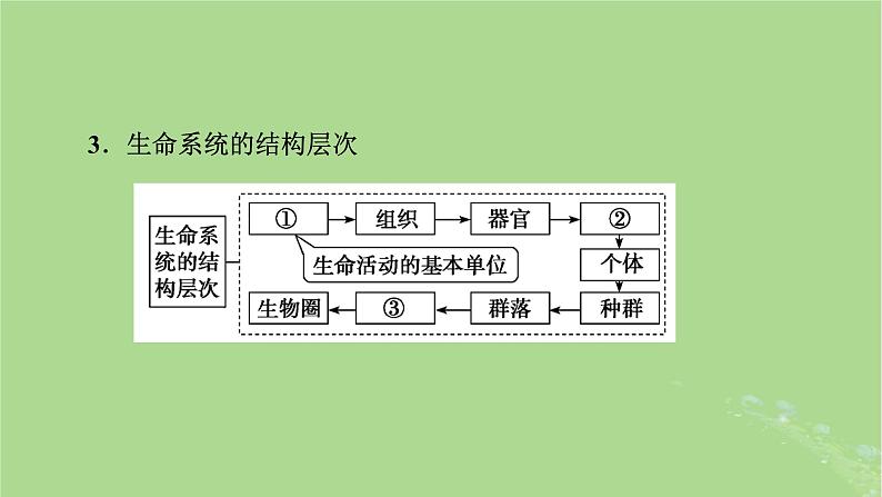 2025版高考生物一轮总复习必修1第1单元走近细胞和组成细胞的分子第1讲走近细胞课件第7页