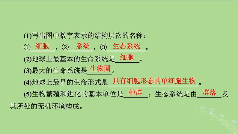 2025版高考生物一轮总复习必修1第1单元走近细胞和组成细胞的分子第1讲走近细胞课件第8页