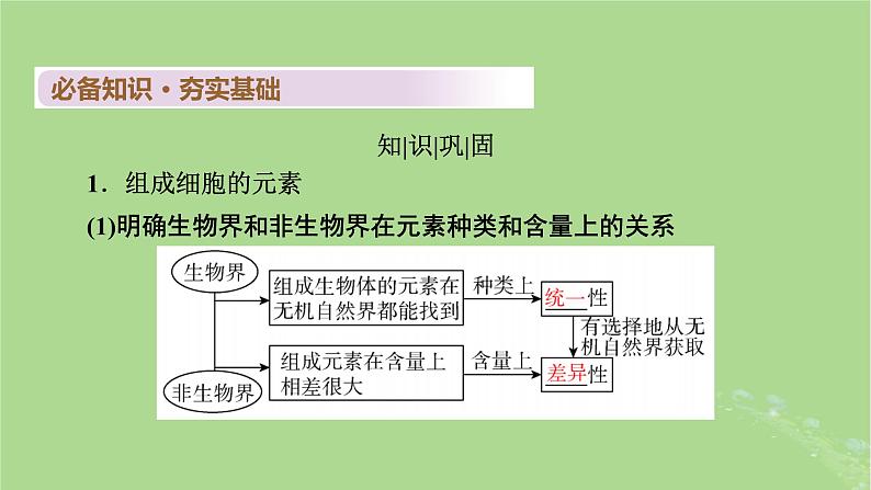 2025版高考生物一轮总复习必修1第1单元走近细胞和组成细胞的分子第2讲细胞中的元素和化合物无机物糖类和脂质课件第4页