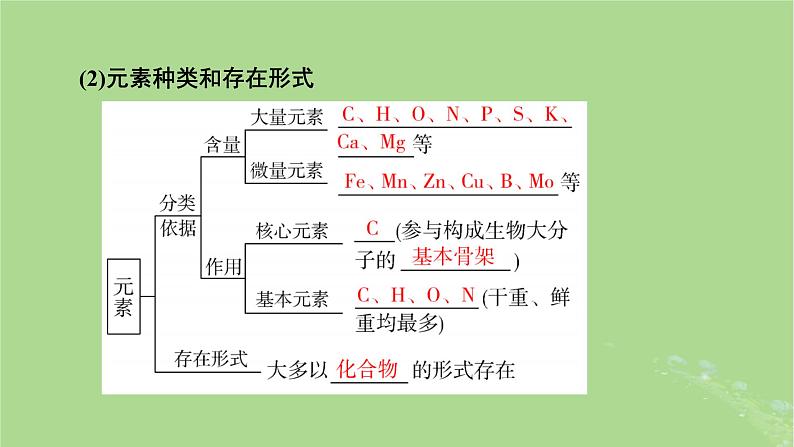 2025版高考生物一轮总复习必修1第1单元走近细胞和组成细胞的分子第2讲细胞中的元素和化合物无机物糖类和脂质课件第5页