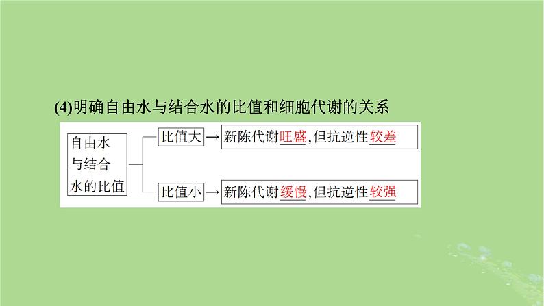 2025版高考生物一轮总复习必修1第1单元走近细胞和组成细胞的分子第2讲细胞中的元素和化合物无机物糖类和脂质课件第8页