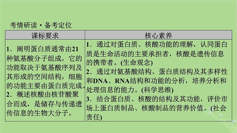 2025版高考生物一轮总复习必修1第1单元走近细胞和组成细胞的分子第3讲蛋白质和核酸课件第2页