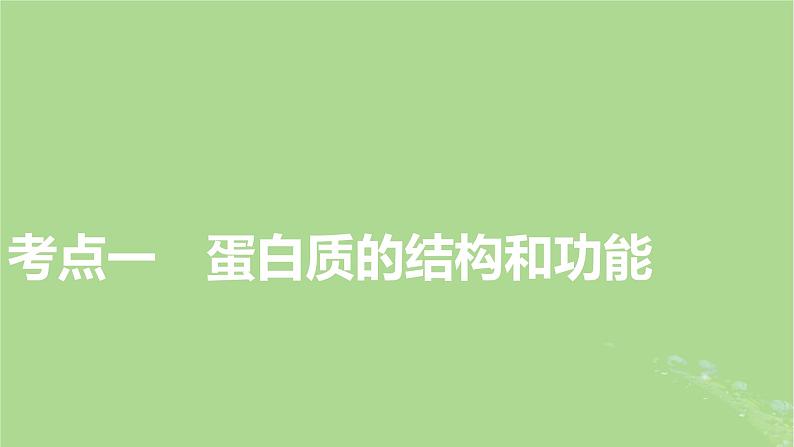 2025版高考生物一轮总复习必修1第1单元走近细胞和组成细胞的分子第3讲蛋白质和核酸课件第3页