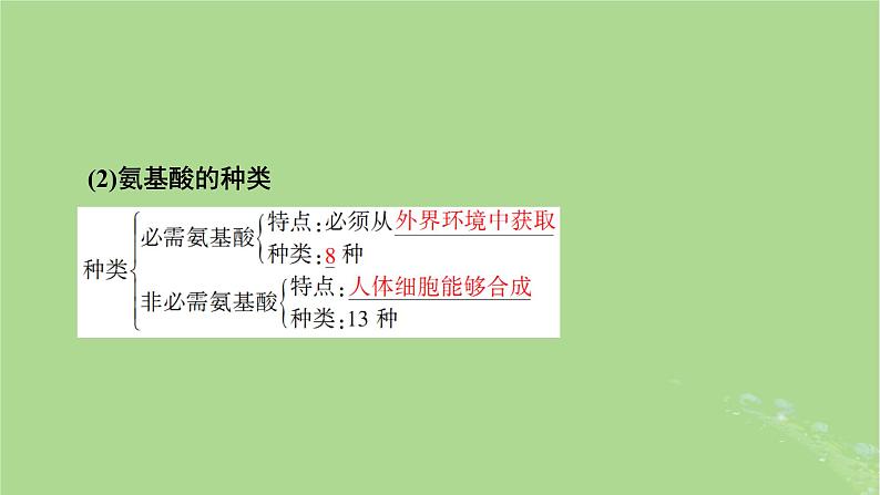 2025版高考生物一轮总复习必修1第1单元走近细胞和组成细胞的分子第3讲蛋白质和核酸课件第5页