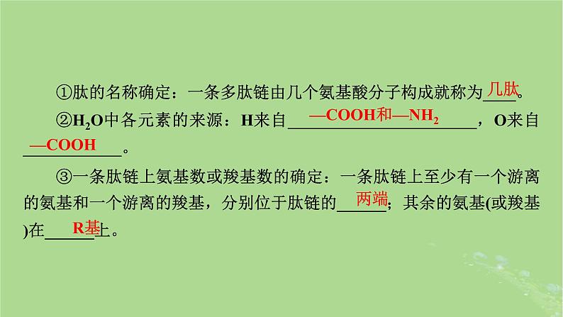 2025版高考生物一轮总复习必修1第1单元走近细胞和组成细胞的分子第3讲蛋白质和核酸课件第7页