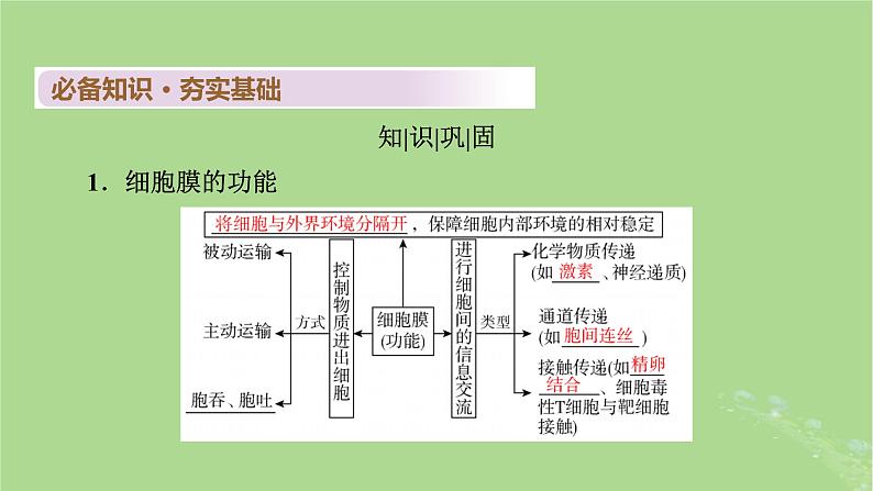 2025版高考生物一轮总复习必修1第2单元细胞的基本结构与物质输入和输出第1讲细胞膜和细胞核课件第4页