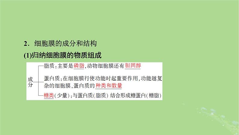 2025版高考生物一轮总复习必修1第2单元细胞的基本结构与物质输入和输出第1讲细胞膜和细胞核课件第5页