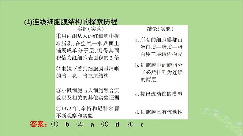 2025版高考生物一轮总复习必修1第2单元细胞的基本结构与物质输入和输出第1讲细胞膜和细胞核课件第6页