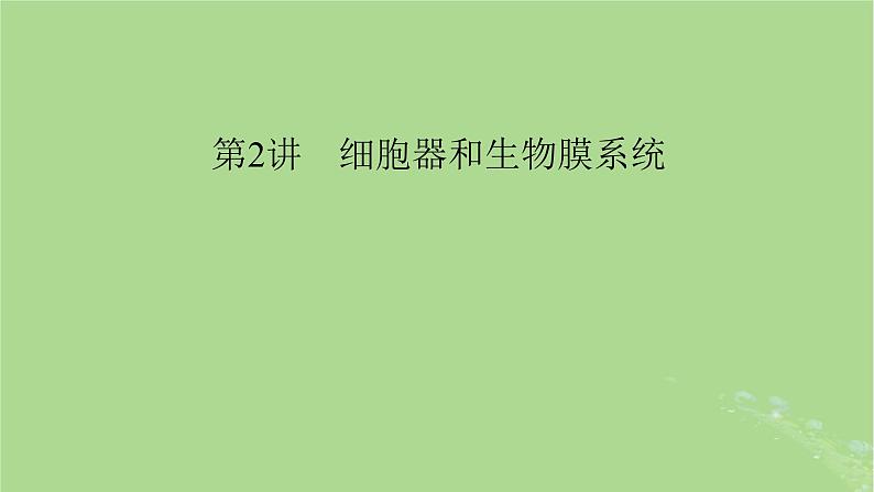 2025版高考生物一轮总复习必修1第2单元细胞的基本结构与物质输入和输出第2讲细胞器和生物膜系统课件第1页