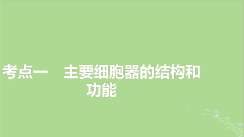 2025版高考生物一轮总复习必修1第2单元细胞的基本结构与物质输入和输出第2讲细胞器和生物膜系统课件第3页