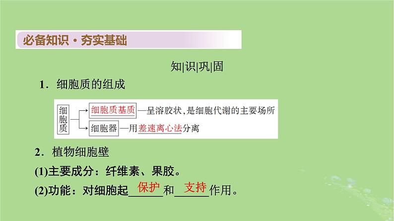 2025版高考生物一轮总复习必修1第2单元细胞的基本结构与物质输入和输出第2讲细胞器和生物膜系统课件第4页