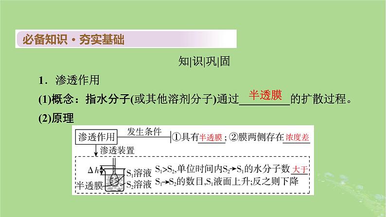 2025版高考生物一轮总复习必修1第2单元细胞的基本结构与物质输入和输出第3讲细胞的物质输入和输出课件第4页