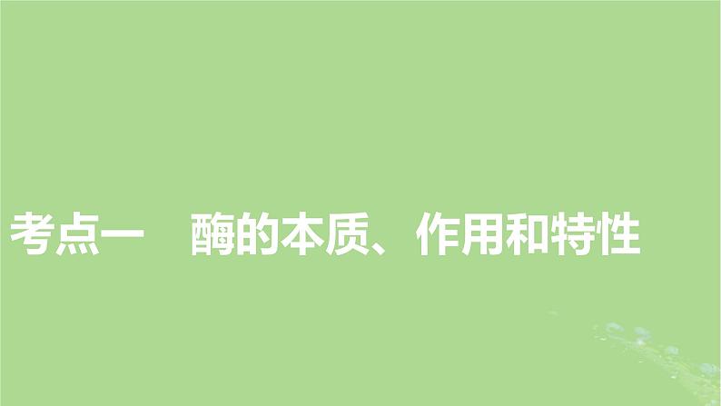 2025版高考生物一轮总复习必修1第3单元细胞的能量供应和利用第1讲酶和ATP课件第3页