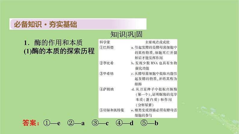 2025版高考生物一轮总复习必修1第3单元细胞的能量供应和利用第1讲酶和ATP课件第4页