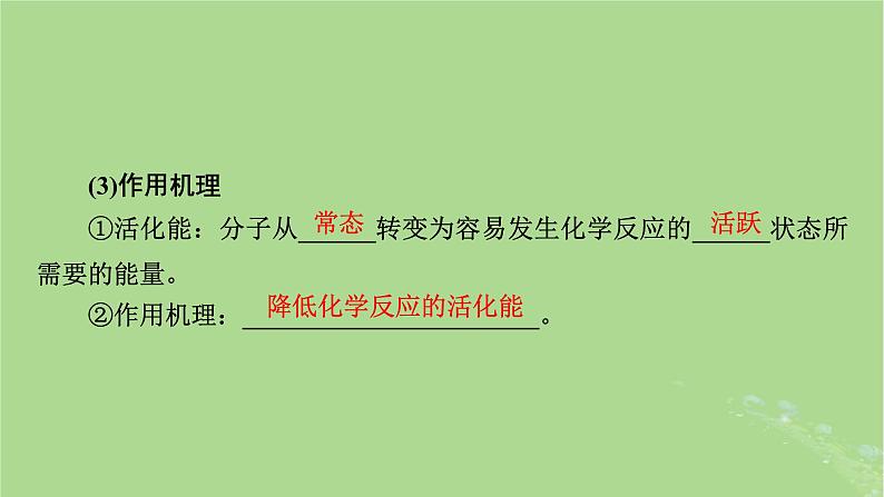 2025版高考生物一轮总复习必修1第3单元细胞的能量供应和利用第1讲酶和ATP课件第6页