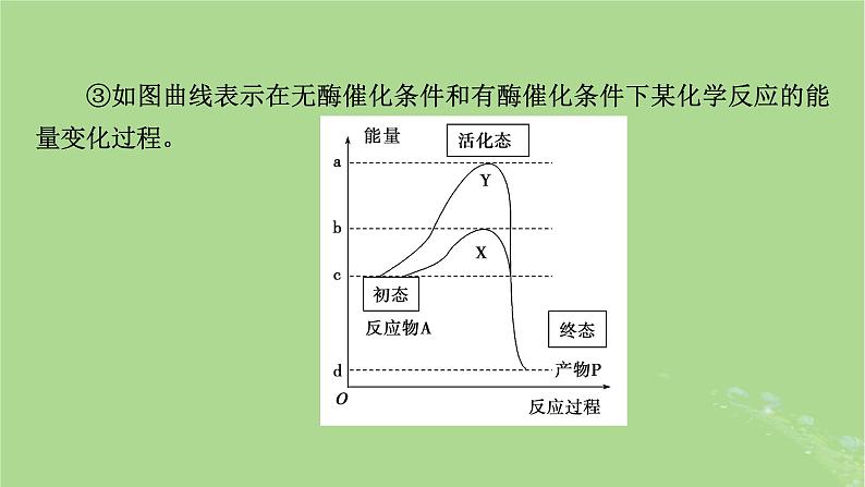 2025版高考生物一轮总复习必修1第3单元细胞的能量供应和利用第1讲酶和ATP课件第7页