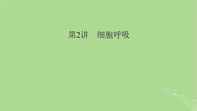 2025版高考生物一轮总复习必修1第3单元细胞的能量供应和利用第2讲细胞呼吸课件第1页