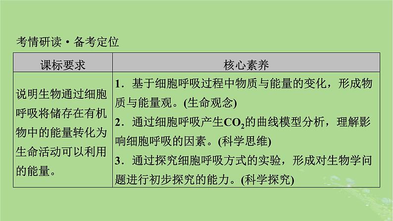 2025版高考生物一轮总复习必修1第3单元细胞的能量供应和利用第2讲细胞呼吸课件第2页