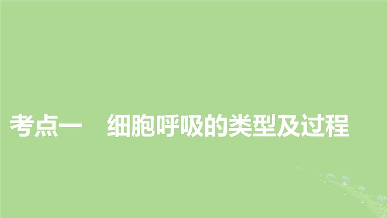 2025版高考生物一轮总复习必修1第3单元细胞的能量供应和利用第2讲细胞呼吸课件第3页