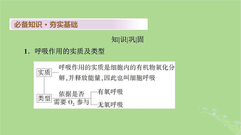 2025版高考生物一轮总复习必修1第3单元细胞的能量供应和利用第2讲细胞呼吸课件第4页