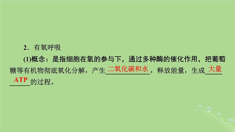 2025版高考生物一轮总复习必修1第3单元细胞的能量供应和利用第2讲细胞呼吸课件第5页