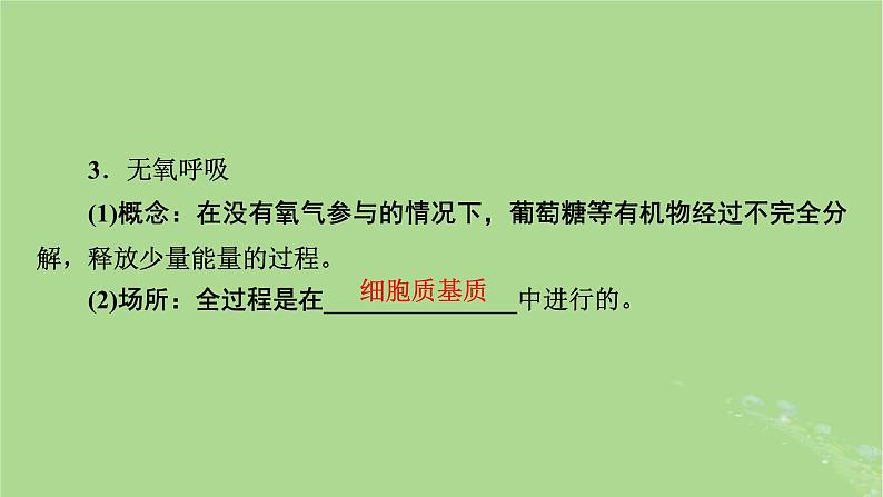 2025版高考生物一轮总复习必修1第3单元细胞的能量供应和利用第2讲细胞呼吸课件第8页