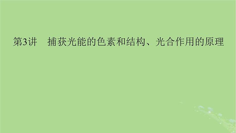 2025版高考生物一轮总复习必修1第3单元细胞的能量供应和利用第3讲捕获光能的色素和结构光合作用的原理课件第1页