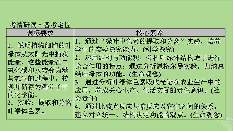 2025版高考生物一轮总复习必修1第3单元细胞的能量供应和利用第3讲捕获光能的色素和结构光合作用的原理课件第2页