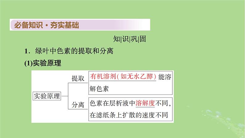 2025版高考生物一轮总复习必修1第3单元细胞的能量供应和利用第3讲捕获光能的色素和结构光合作用的原理课件第4页