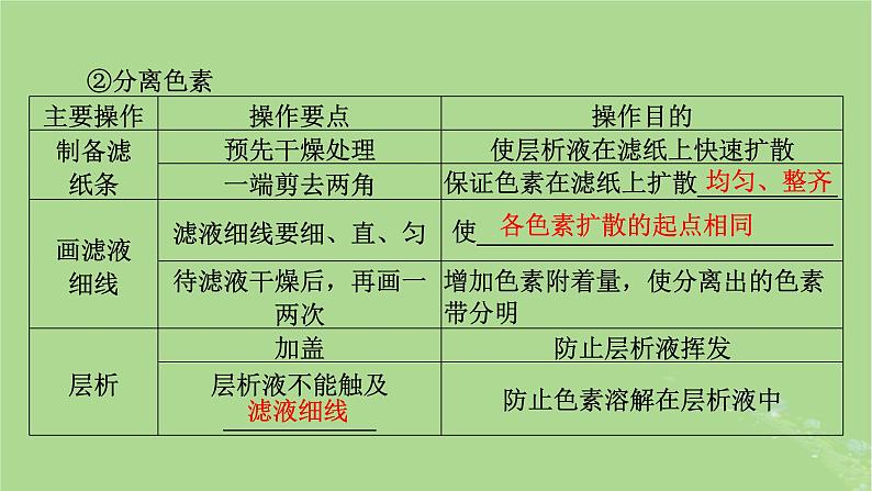 2025版高考生物一轮总复习必修1第3单元细胞的能量供应和利用第3讲捕获光能的色素和结构光合作用的原理课件第6页