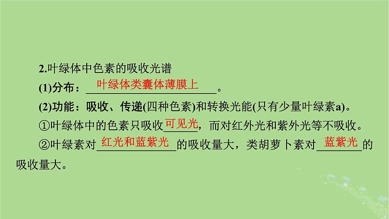 2025版高考生物一轮总复习必修1第3单元细胞的能量供应和利用第3讲捕获光能的色素和结构光合作用的原理课件第8页