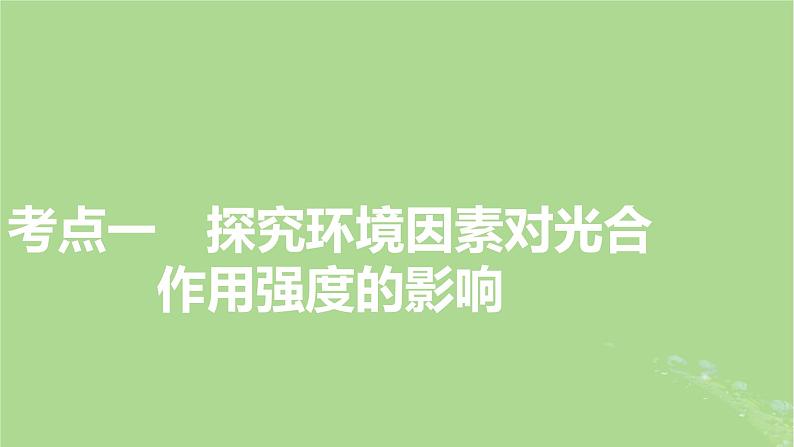 2025版高考生物一轮总复习必修1第3单元细胞的能量供应和利用第4讲影响光合作用的环境因素及其应用课件第3页