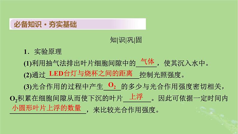 2025版高考生物一轮总复习必修1第3单元细胞的能量供应和利用第4讲影响光合作用的环境因素及其应用课件第4页