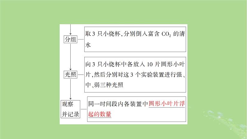 2025版高考生物一轮总复习必修1第3单元细胞的能量供应和利用第4讲影响光合作用的环境因素及其应用课件第6页