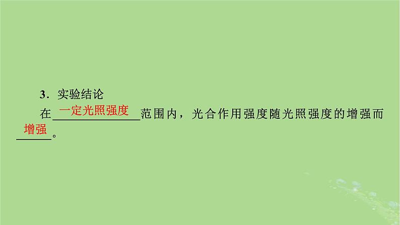 2025版高考生物一轮总复习必修1第3单元细胞的能量供应和利用第4讲影响光合作用的环境因素及其应用课件第7页