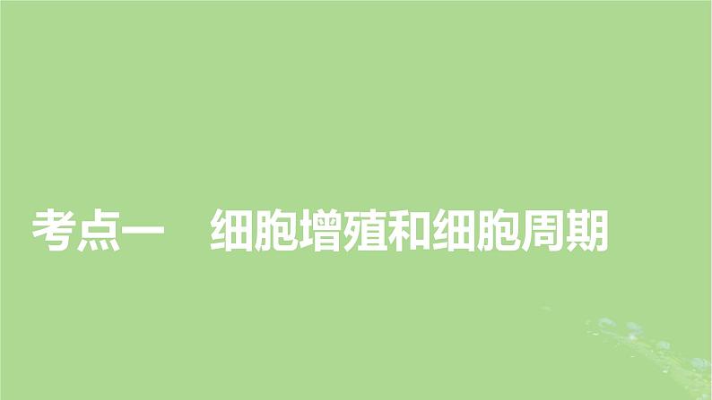 2025版高考生物一轮总复习必修1第4单元细胞的生命历程第1讲细胞的增殖课件第3页