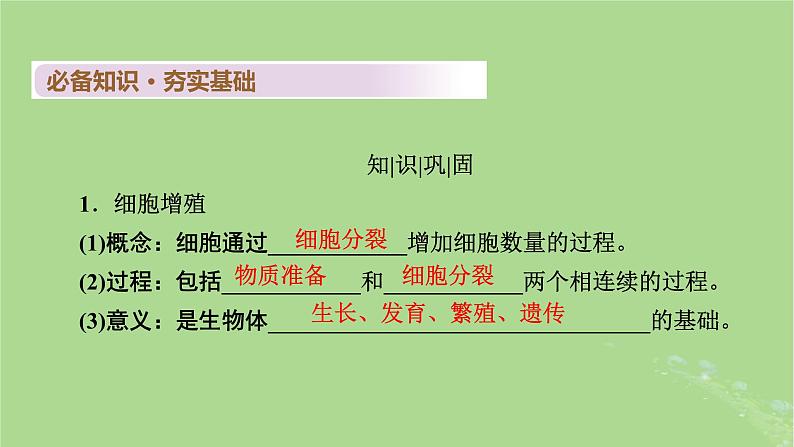 2025版高考生物一轮总复习必修1第4单元细胞的生命历程第1讲细胞的增殖课件第4页