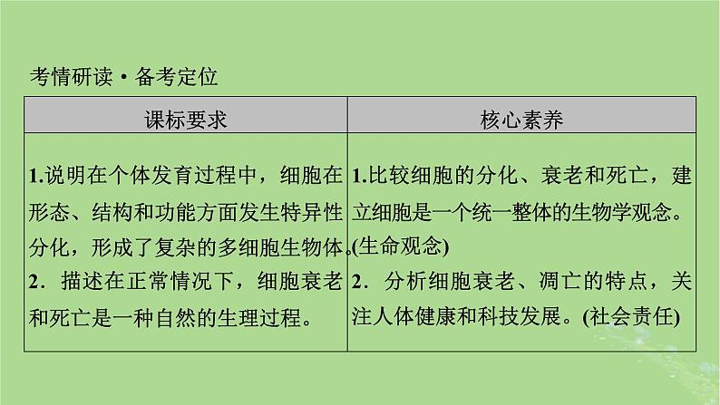 2025版高考生物一轮总复习必修1第4单元细胞的生命历程第3讲细胞的分化衰老和死亡课件第2页