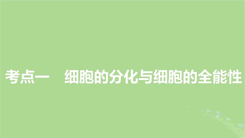 2025版高考生物一轮总复习必修1第4单元细胞的生命历程第3讲细胞的分化衰老和死亡课件第3页