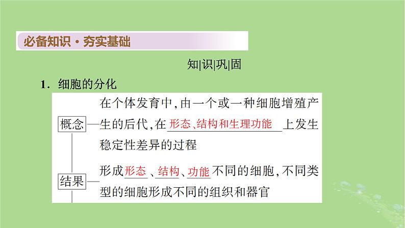 2025版高考生物一轮总复习必修1第4单元细胞的生命历程第3讲细胞的分化衰老和死亡课件第4页