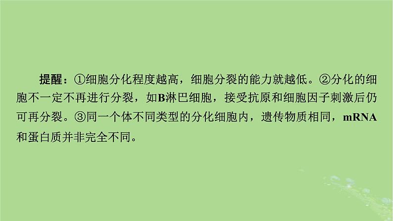 2025版高考生物一轮总复习必修1第4单元细胞的生命历程第3讲细胞的分化衰老和死亡课件第6页