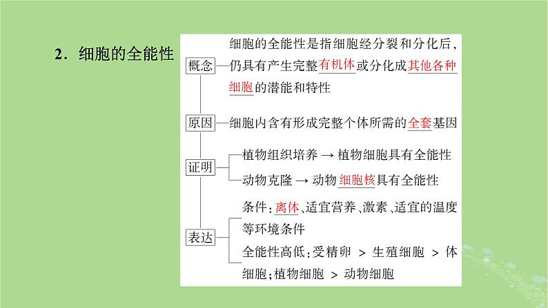 2025版高考生物一轮总复习必修1第4单元细胞的生命历程第3讲细胞的分化衰老和死亡课件第7页