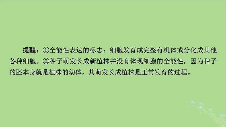 2025版高考生物一轮总复习必修1第4单元细胞的生命历程第3讲细胞的分化衰老和死亡课件第8页