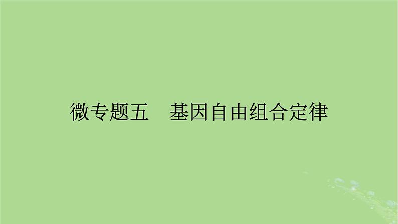 2025版高考生物一轮总复习必修2微专题5基因自由组合定律课件第1页