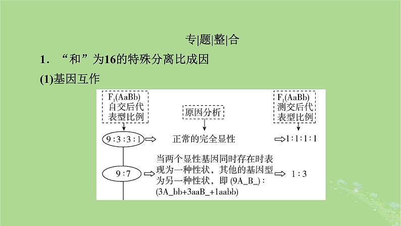 2025版高考生物一轮总复习必修2微专题5基因自由组合定律课件第2页