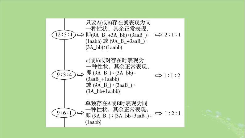 2025版高考生物一轮总复习必修2微专题5基因自由组合定律课件第3页