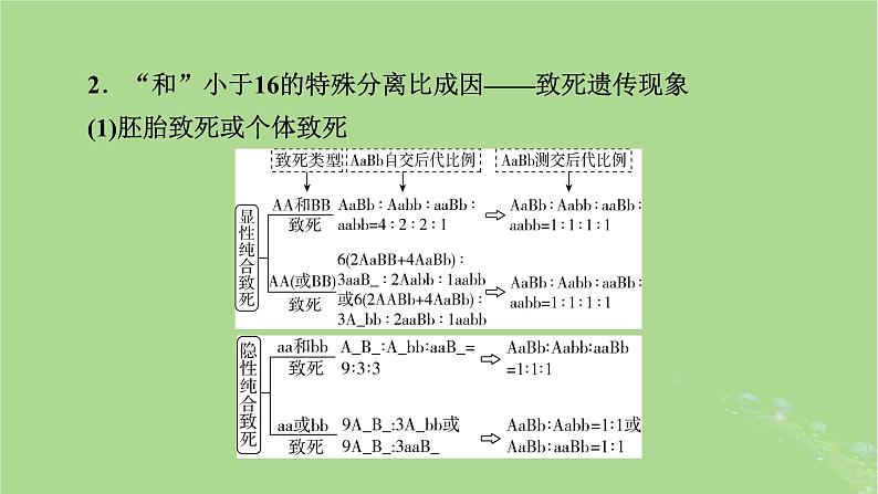 2025版高考生物一轮总复习必修2微专题5基因自由组合定律课件第6页