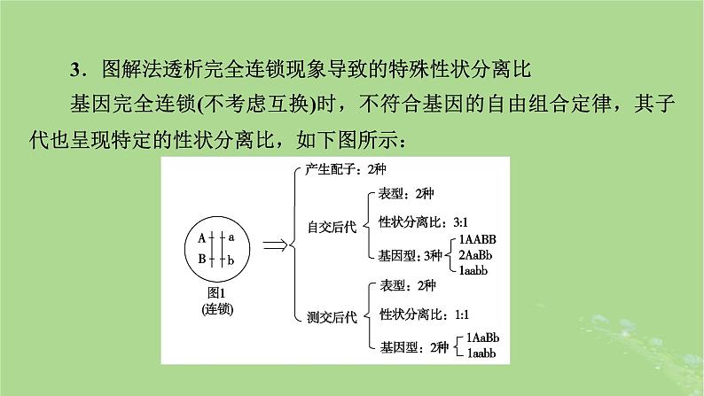 2025版高考生物一轮总复习必修2微专题5基因自由组合定律课件第8页