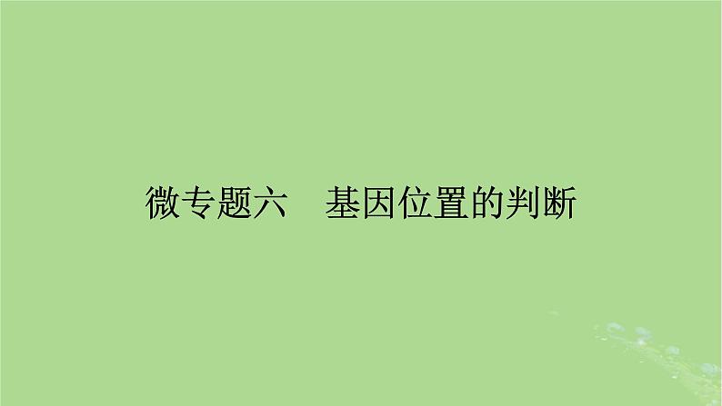 2025版高考生物一轮总复习必修2微专题6基因位置的判断课件第1页